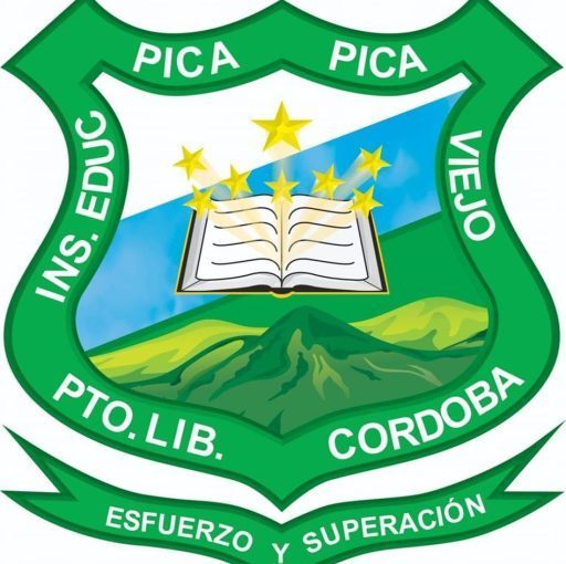 Institución Educativa Pica Pica Viejo